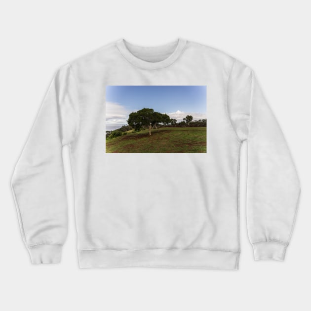 Tree Crewneck Sweatshirt by KensLensDesigns